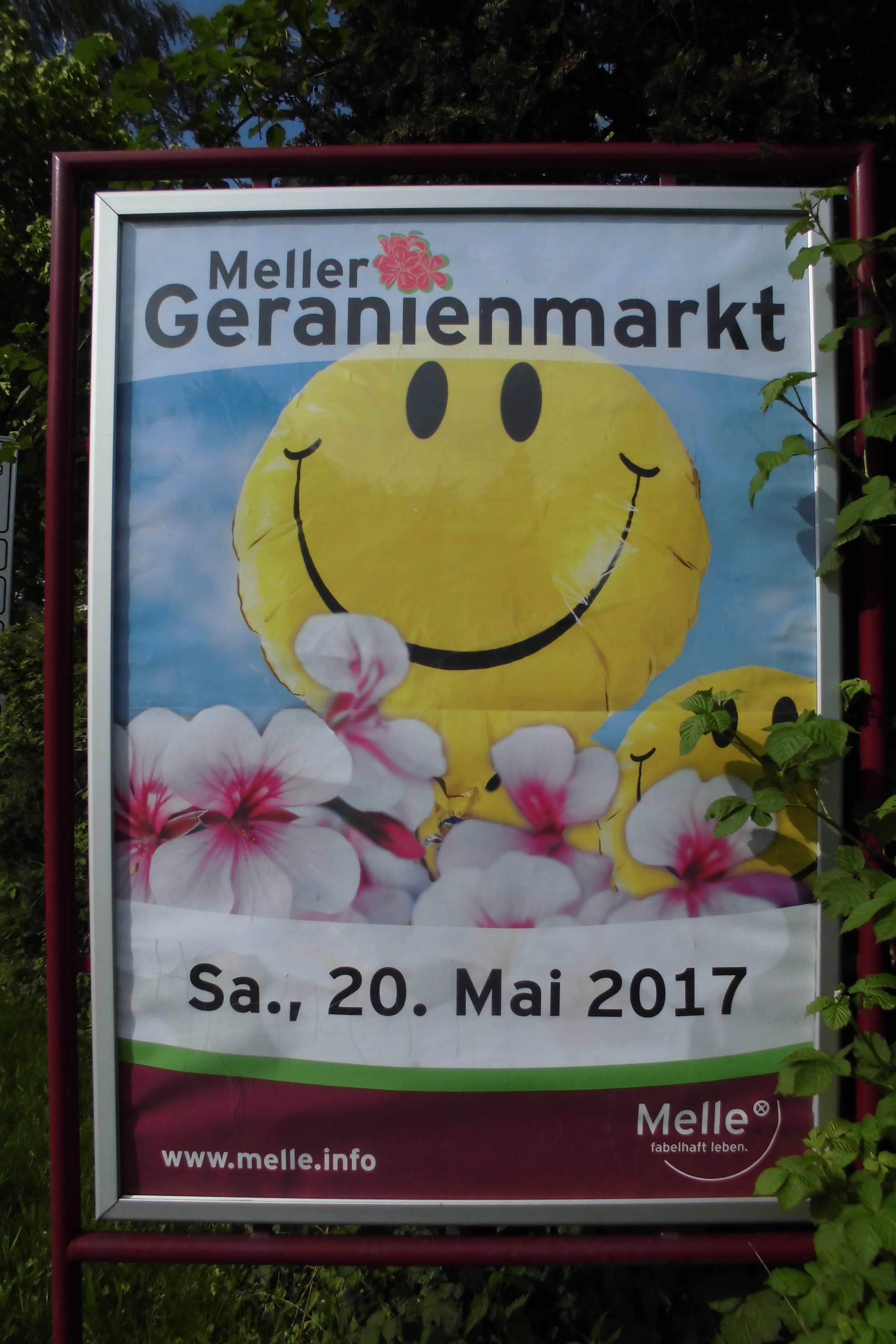 Am 20. Mai ist Geranienmarkt in Melle! Endlich in die Sonne und nach draußen! Besuchen Sie unsere Aktionsfläche vor Georgs Bioladen!